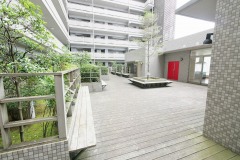 ルミナス金町