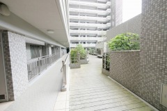 ルミナス金町