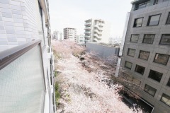 セザール第二中野